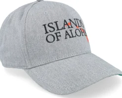 6 Panel Curved Visor Island Grey A-Frame Adjustable - Coastal