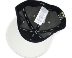 6 Panel Stretch Metallic Hat Mist/Black Flexfit - Oakley