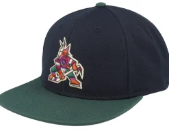 Arizona Coyotes NHL Archive 400 Black/Dark Green Snapback - American Needle