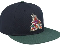 Arizona Coyotes NHL Archive 400 Black/Dark Green Snapback - American Needle