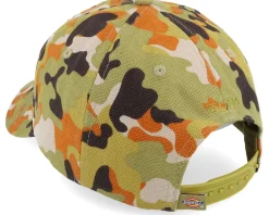 Artonodale Cap Artondale Camo Dad Cap - Dickies