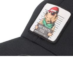 Bad Santa Dog Black Flexfit - Iconic