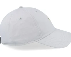 Bitter Grey Dad Cap - Djinns