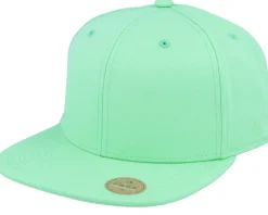 Brown Earth Sustainable Snapback - Park