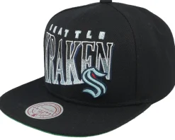 Charlotte Hornets Line Work Black Snapback - Mitchell & Ness
