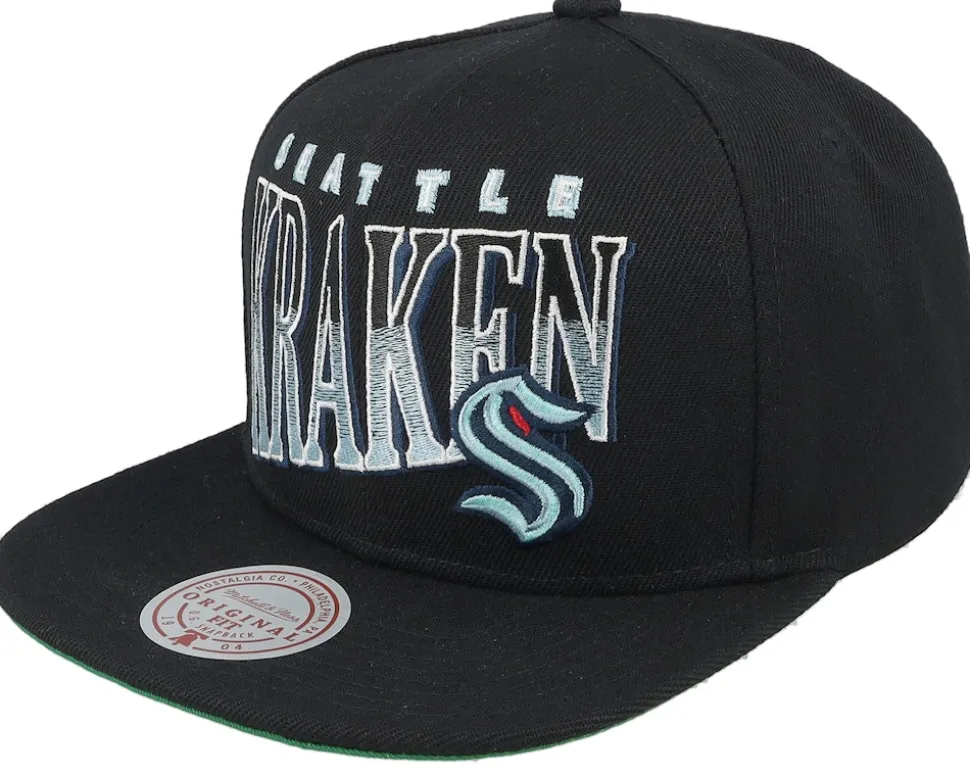 Charlotte Hornets Line Work Black Snapback - Mitchell & Ness