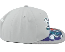 Charlotte Hornets Munch Time Hwc Grey Snapback - Mitchell & Ness