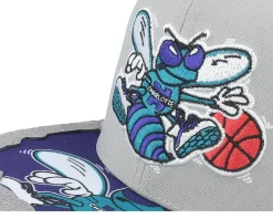 Charlotte Hornets Munch Time Hwc Grey Snapback - Mitchell & Ness