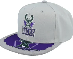 Charlotte Hornets Munch Time Hwc Grey Snapback - Mitchell & Ness