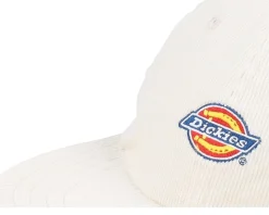 Chase City Cap White Strapback - Dickies