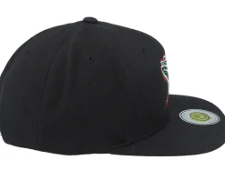 Colorful Lizard Black/Black Snapback - Lucid Smile