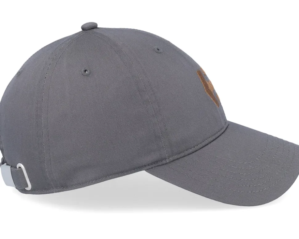 Corp Combo Charcoal Dad Cap - Etnies