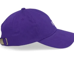 Curved Bill Violet Indigo Dad Cap - Vans