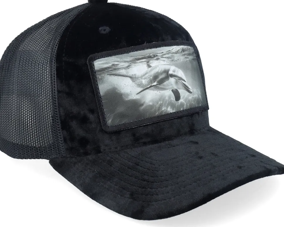 Dolphin Big Patch Velvet Black Trucker - Calza Pennello