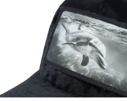 Dolphin Big Patch Velvet Black Trucker - Calza Pennello