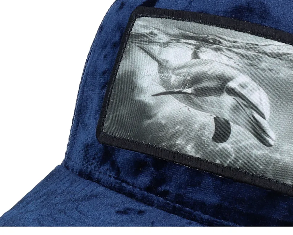 Dolphin Big Patch Velvet Navy Trucker - Calza Pennello
