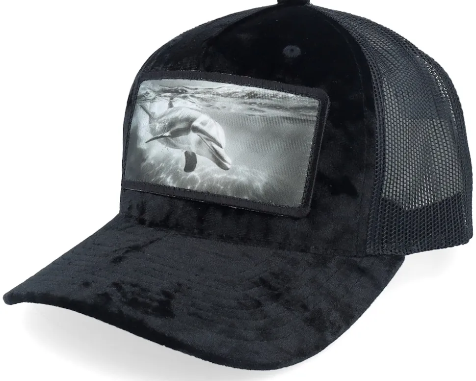 Dolphin Big Patch Velvet Navy Trucker - Calza Pennello