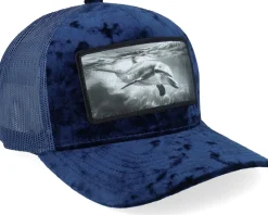 Dolphin Big Patch Velvet Navy Trucker - Calza Pennello