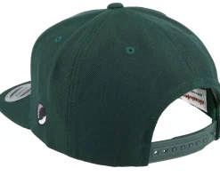 Donatello Face Dark Green Snapback - TMNT
