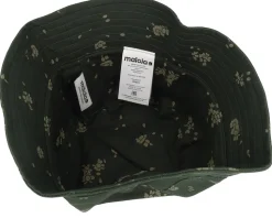 Feuerkogeim. Fir Daisy Bucket - Maloja