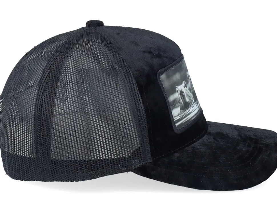 Gang Of Capybara Patch Velvet Black Trucker - Calza Pennello