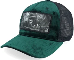Gorilla Big Patch Velvet Black Trucker - Calza Pennello
