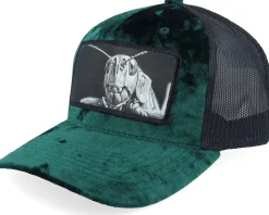 Grasshopper Big Patch Green/Black Velvet Trucker - Calza Pennello