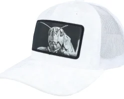 Grasshopper Big Patch Green/Black Velvet Trucker - Calza Pennello