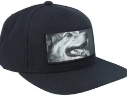 Happy Dog Big Patch Black Snapback - Calza Pennello