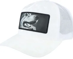 Happy Dog Big Patch Velvet White Trucker - Calza Pennello