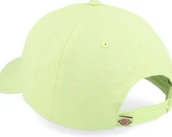 Hardwick Pale Green Dad Cap - Dickies
