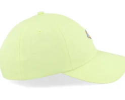 Hardwick Pale Green Dad Cap - Dickies