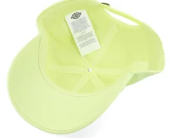 Hardwick Pale Green Dad Cap - Dickies