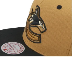 Hatstore Exclusive x Vancouver Canucks Heritage Brown/Black Snapback - Mitchell & Ness