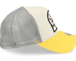 Hft Cap DNC New 1.6 Grey/Sunny Yellow Trucker - Djinns