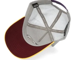 Hft Cap DNC New 1.6 Grey/Sunny Yellow Trucker - Djinns