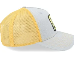 Hydrangea And Swallow Heather Grey/Gold Trucker - Public Domain