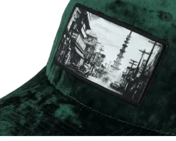 Japan Green /Ivory Velvet Trucker - Public Domain