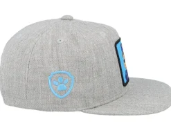 Kids Chase Patch Heather Grey Snapback - PAW Patrol