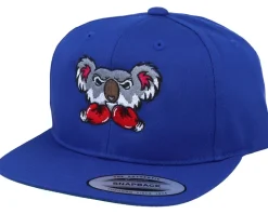 Kids Koala Bear Boxer Royal Blue Snapback - Kiddo Cap