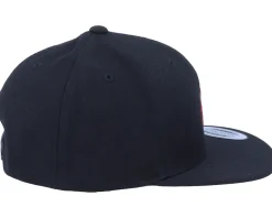 Kids Peeping Dino T-rex Black Snapback - Kiddo Cap