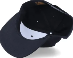 Kids Peeping Dino T-rex Black Snapback - Kiddo Cap