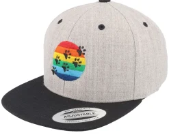 Kids Sunset Paw Heather Grey Snapback - Kiddo Cap