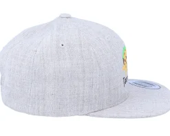 Kids Tacosaurus Dino Heather Grey Snapback - Kiddo Cap