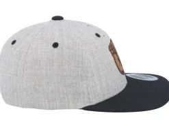 Kids T-rex Dino Brown Round Patch Heather Grey/Black Snapback - Kiddo Cap