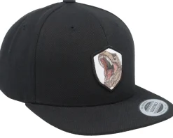 Kids T-rex Dino Wooven Patch Black Snapback - Kiddo Cap