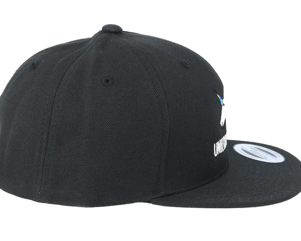 Kids Unicorn Are Real Black Snapback - Unicorns