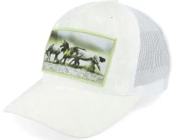Kids Wild Horses Velvet Black Trucker - Calza Pennello