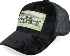Kids Wild Horses Velvet White Trucker - Calza Pennello