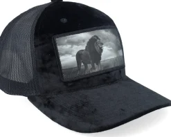 King Of Lion Big Patch Velvet Black Trucker - Calza Pennello